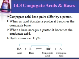 14.3 Conjugate Acids & Bases