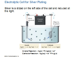Electrolytic Cell for Silver Plating